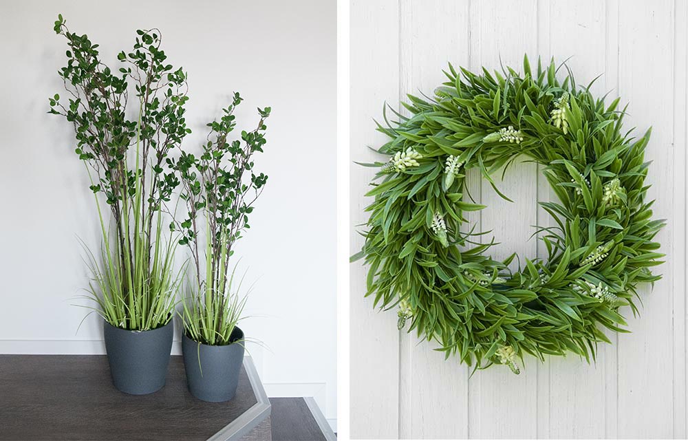 Evergreen shrub, Lavender Wreath 